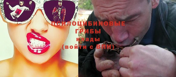 прущие грибы Тайга
