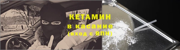 прущие грибы Сясьстрой