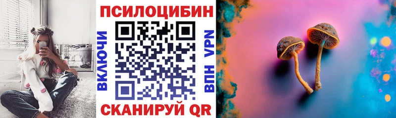 Галлюциногенные грибы Magic Shrooms  купить закладку  Володарск 